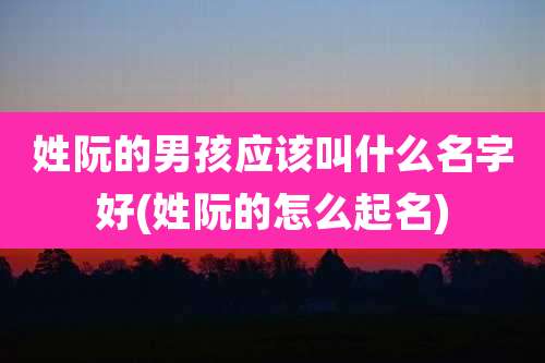 姓阮的男孩应该叫什么名字好(姓阮的怎么起名)