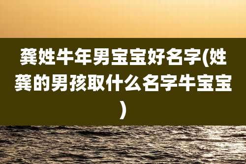 龚姓牛年男宝宝好名字(姓龚的男孩取什么名字牛宝宝)