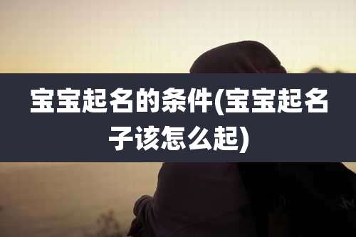 宝宝起名的条件(宝宝起名子该怎么起)