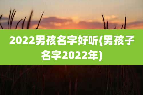 2022男孩名字好听(男孩子名字2022年)