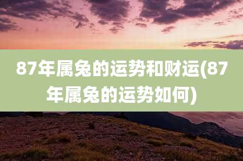 87年属兔的运势和财运(87年属兔的运势如何)