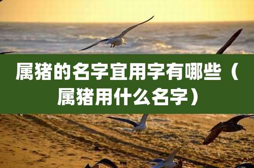 属猪的名字宜用字有哪些(属猪用什么名字)