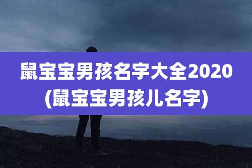 鼠宝宝男孩名字大全2020(鼠宝宝男孩儿名字)
