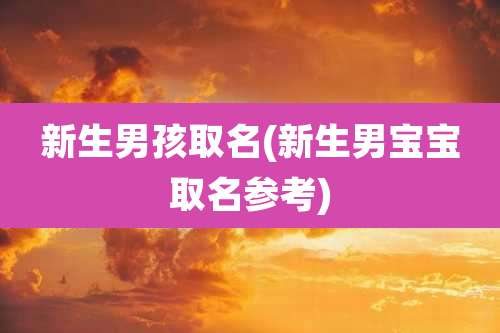 新生男孩取名(新生男宝宝取名参考)