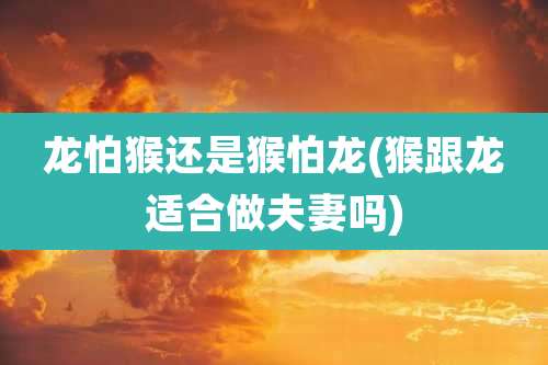龙怕猴还是猴怕龙(猴跟龙适合做夫妻吗)
