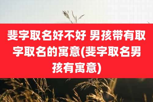 斐字取名好不好 男孩带有取字取名的寓意(斐字取名男孩有寓意)