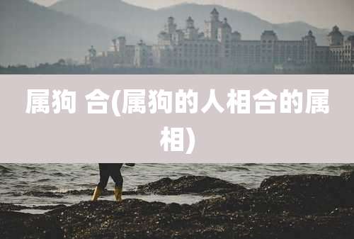 属狗 合(属狗的人相合的属相)