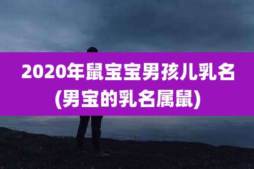 2020年鼠宝宝男孩儿乳名(男宝的乳名属鼠)
