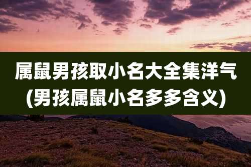 属鼠男孩取小名大全集洋气(男孩属鼠小名多多含义)