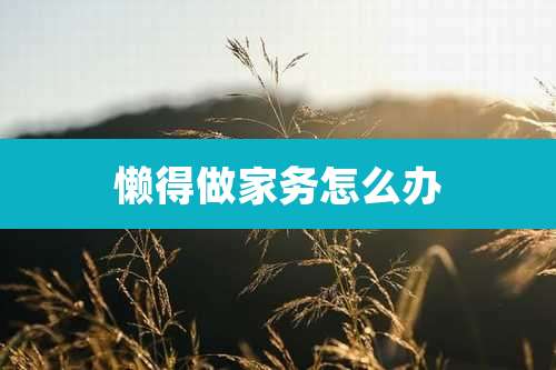 懒得做家务怎么办