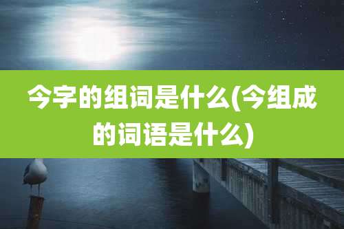 今字的组词是什么(今组成的词语是什么)