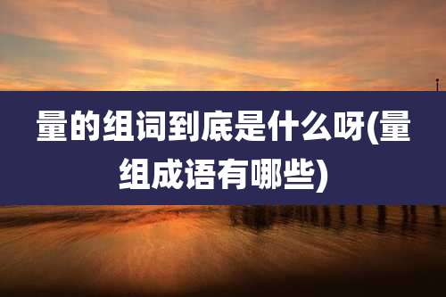 量的组词到底是什么呀(量组成语有哪些)