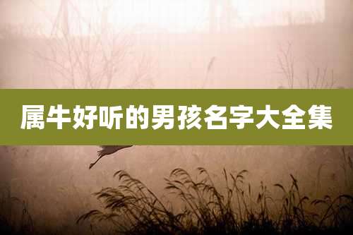 属牛好听的男孩名字大全集