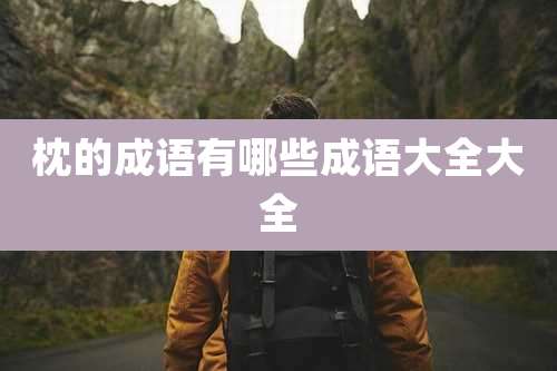 枕的成语有哪些成语大全大全