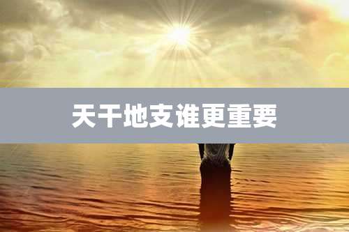 天干地支谁更重要