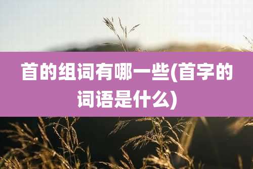 首的组词有哪一些(首字的词语是什么)