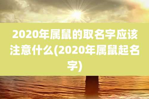 2020年属鼠的取名字应该注意什么(2020年属鼠起名字)