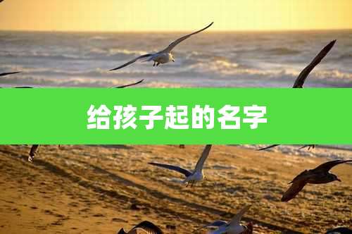 给孩子起的名字