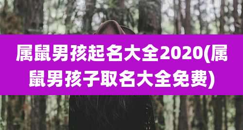 属鼠男孩起名大全2020(属鼠男孩子取名大全免费)