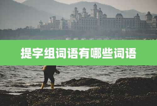 提字组词语有哪些词语