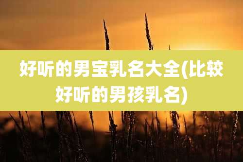 好听的男宝乳名大全(比较好听的男孩乳名)