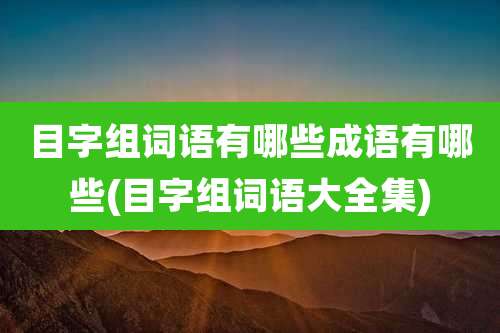 目字组词语有哪些成语有哪些(目字组词语大全集)