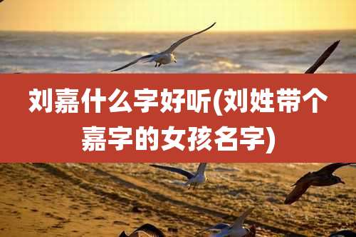 刘嘉什么字好听(刘姓带个嘉字的女孩名字)