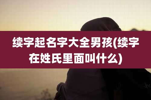 续字起名字大全男孩(续字在姓氏里面叫什么)
