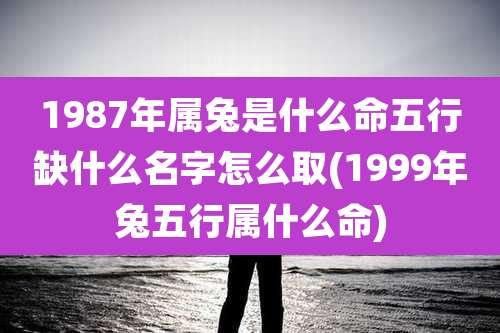 1987年属兔是什么命五行缺什么名字怎么取(1999年兔五行属什么命)