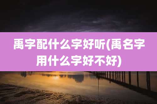 禹字配什么字好听(禹名字用什么字好不好)