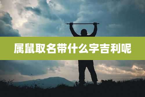 属鼠取名带什么字吉利呢