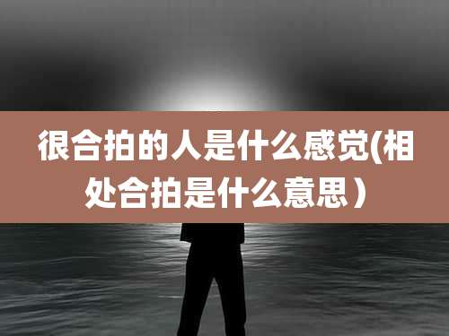 很合拍的人是什么感觉(相处合拍是什么意思)