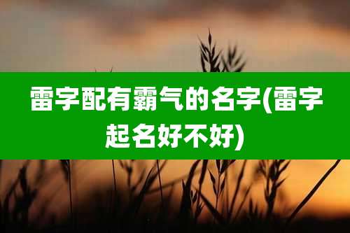 雷字配有霸气的名字(雷字起名好不好)