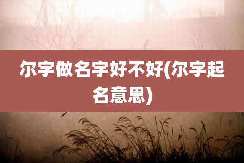 尔字做名字好不好(尔字起名意思)