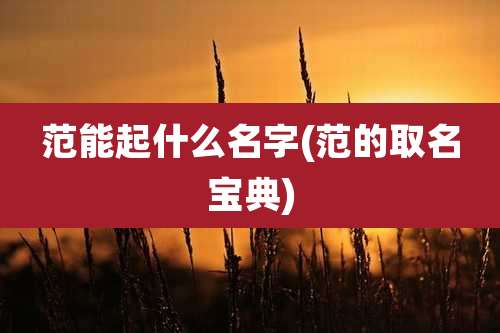 范能起什么名字(范的取名宝典)