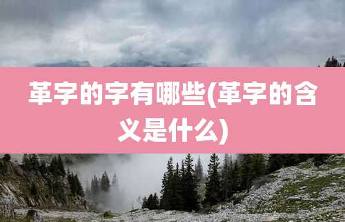 革字的字有哪些(革字的含义是什么)