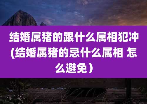 结婚属猪的跟什么属相犯冲(结婚属猪的忌什么属相 怎么避免）