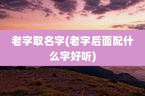 老字取名字(老字后面配什么字好听)