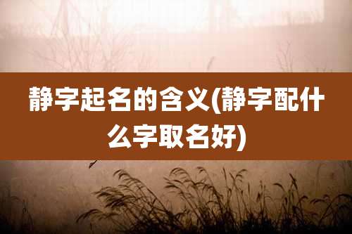 静字起名的含义(静字配什么字取名好)