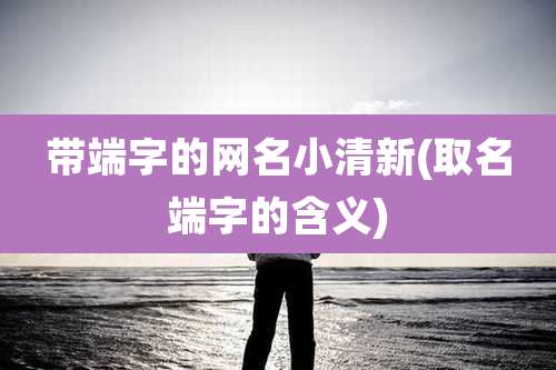 带端字的网名小清新(取名端字的含义)
