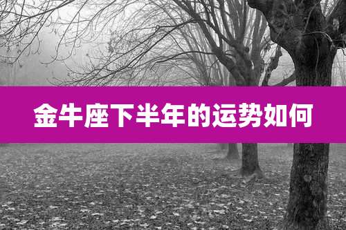 金牛座下半年的运势如何