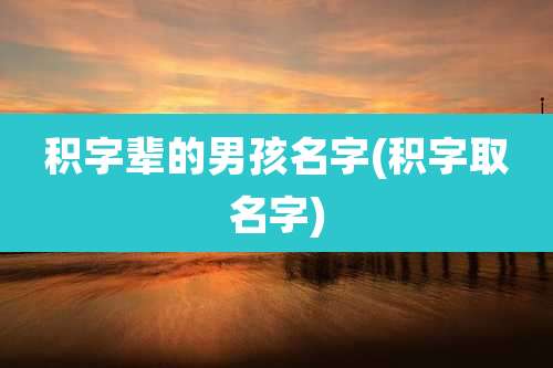 积字辈的男孩名字(积字取名字)