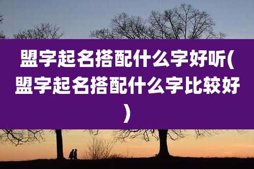 盟字起名搭配什么字好听(盟字起名搭配什么字比较好)