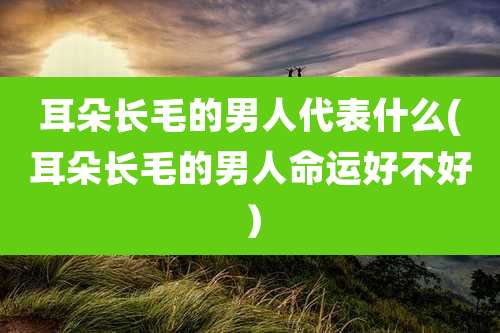 耳朵长毛的男人代表什么(耳朵长毛的男人命运好不好)