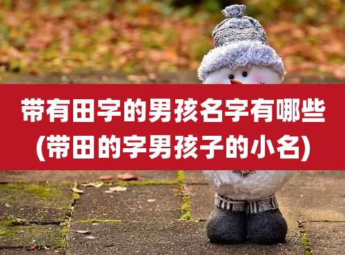 带有田字的男孩名字有哪些(带田的字男孩子的小名)