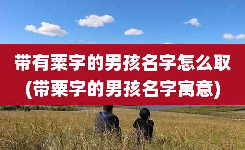 带有粟字的男孩名字怎么取(带粟字的男孩名字寓意)