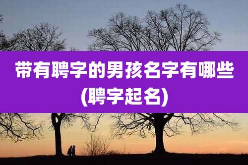 带有聘字的男孩名字有哪些(聘字起名)