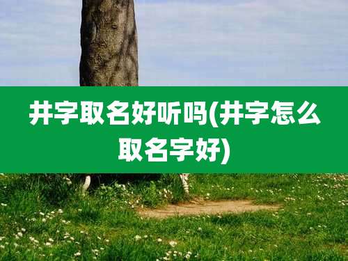 井字取名好听吗(井字怎么取名字好)