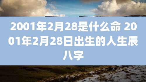 2001年2月28是什么命 2001年2月28日出生的人生辰八字