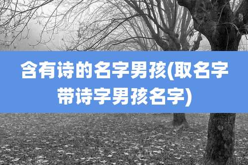 含有诗的名字男孩(取名字带诗字男孩名字)